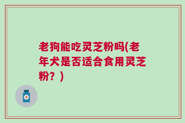 老狗能吃灵芝粉吗(老年犬是否适合食用灵芝粉？)