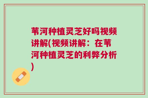 苇河种植灵芝好吗视频讲解(视频讲解：在苇河种植灵芝的利弊分析)