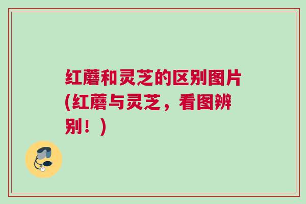 红蘑和灵芝的区别图片(红蘑与灵芝，看图辨别！)