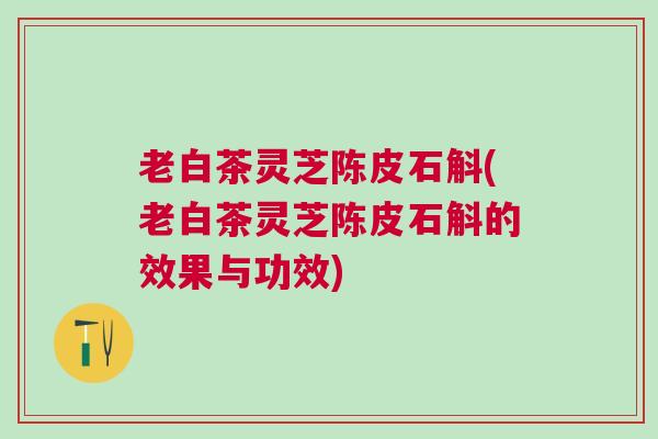 老白茶灵芝陈皮石斛(老白茶灵芝陈皮石斛的效果与功效)