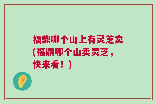 福鼎哪个山上有灵芝卖(福鼎哪个山卖灵芝，快来看！)