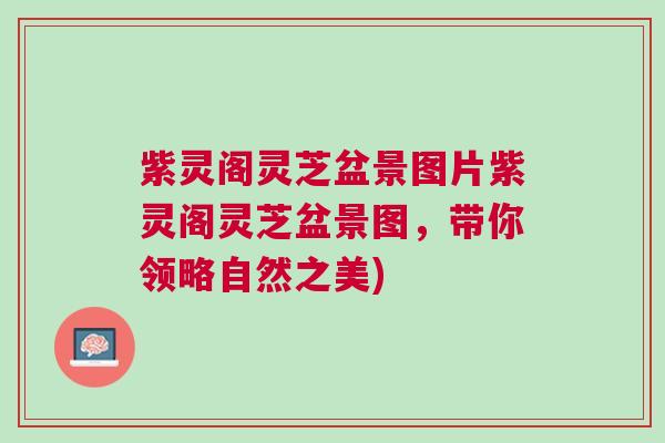 紫灵阁灵芝盆景图片紫灵阁灵芝盆景图,带你领略自然之美) 紫灵阁灵芝盆景图片紫灵阁灵芝盆景图,带你领略自然之美)