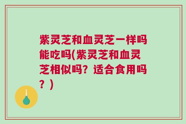 紫灵芝和灵芝一样吗能吃吗(紫灵芝和灵芝相似吗?适合食用吗?) 紫灵芝和灵芝一样吗能吃吗(紫灵芝和灵芝相似吗?适合食用吗?)