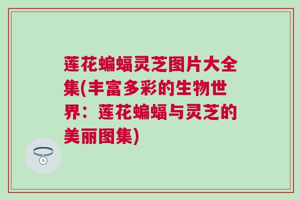 莲花蝙蝠灵芝图片大全集(丰富多彩的生物世界：莲花蝙蝠与灵芝的美丽图集)