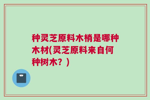 种灵芝原料木梢是哪种木材(灵芝原料来自何种树木？)
