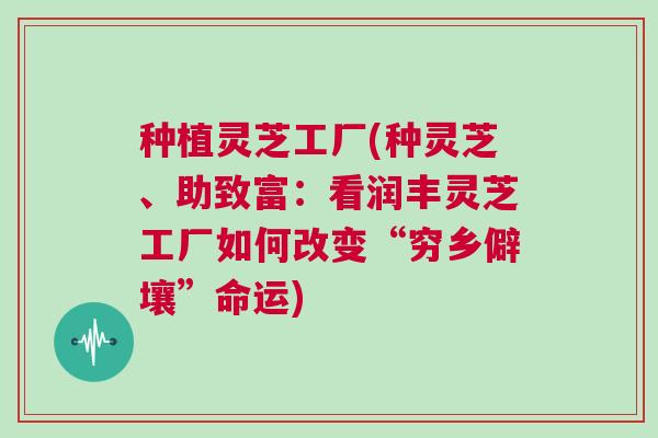 种植灵芝工厂(种灵芝、助致富：看润丰灵芝工厂如何改变“穷乡僻壤”命运)