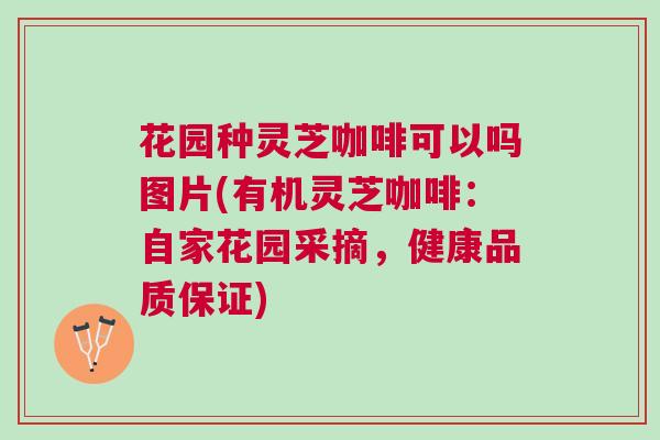 花园种灵芝咖啡可以吗图片(有机灵芝咖啡：自家花园采摘，健康品质保证)