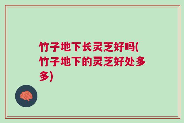 竹子地下长灵芝好吗(竹子地下的灵芝好处多多)