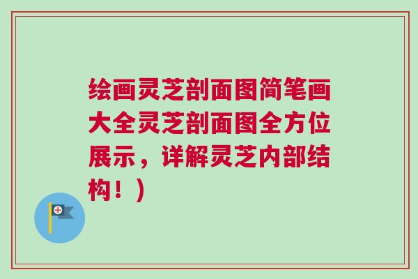 绘画灵芝剖面图简笔画大全灵芝剖面图全方位展示，详解灵芝内部结构！)