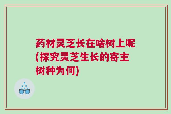 药材灵芝长在啥树上呢(探究灵芝生长的寄主树种为何)