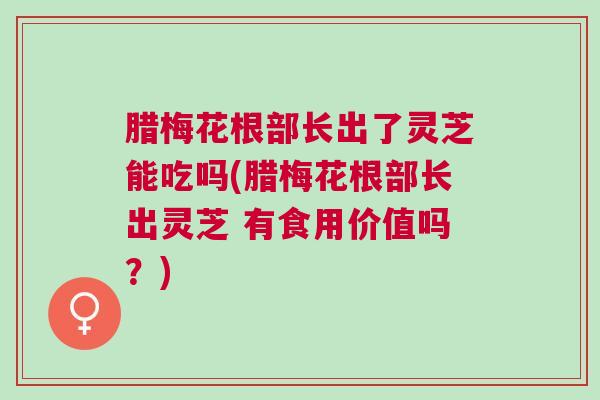 腊梅花根部长出了灵芝能吃吗(腊梅花根部长出灵芝 有食用价值吗?) 腊梅花根部长出了灵芝能吃吗(腊梅花根部长出灵芝 有食用价值吗?)