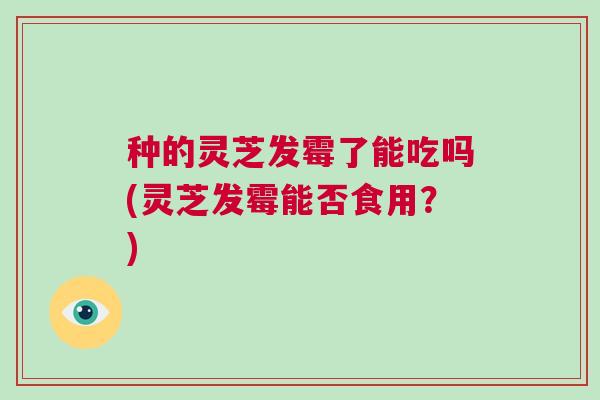 种的灵芝发霉了能吃吗(灵芝发霉能否食用?) 种的灵芝发霉了能吃吗(灵芝发霉能否食用?)