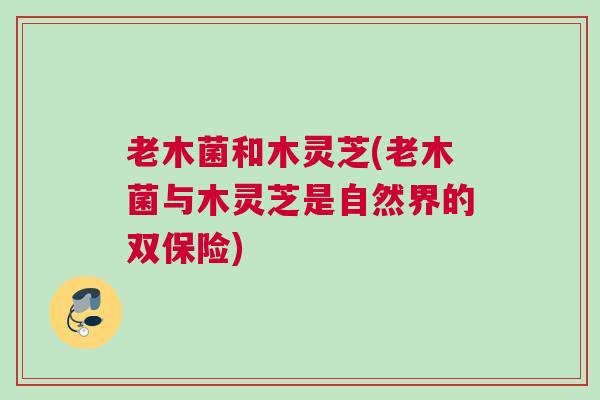 老木菌和木灵芝(老木菌与木灵芝是自然界的双保险)