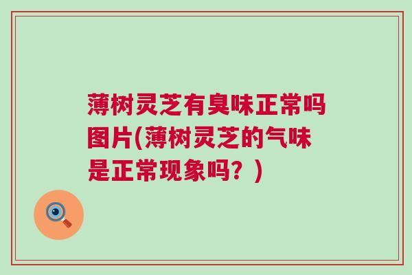 薄树灵芝有臭味正常吗图片(薄树灵芝的气味是正常现象吗?)