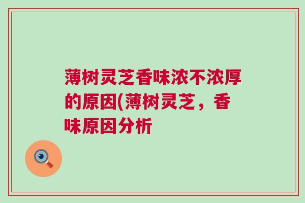 薄树灵芝香味浓不浓厚的原因(薄树灵芝，香味原因分析