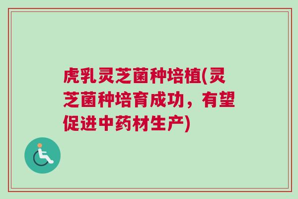 虎乳灵芝菌种培植(灵芝菌种培育成功，有望促进中药材生产)