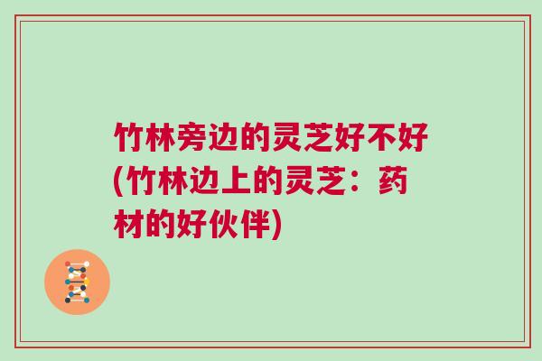 竹林旁边的灵芝好不好(竹林边上的灵芝：药材的好伙伴)