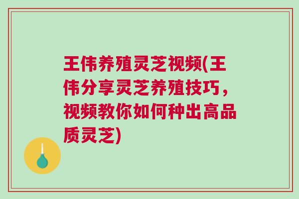 王伟养殖灵芝视频(王伟分享灵芝养殖技巧,视频教你如何种出高品质灵芝) 王伟养殖灵芝视频(王伟分享灵芝养殖技巧,视频教你如何种出高品质灵芝)