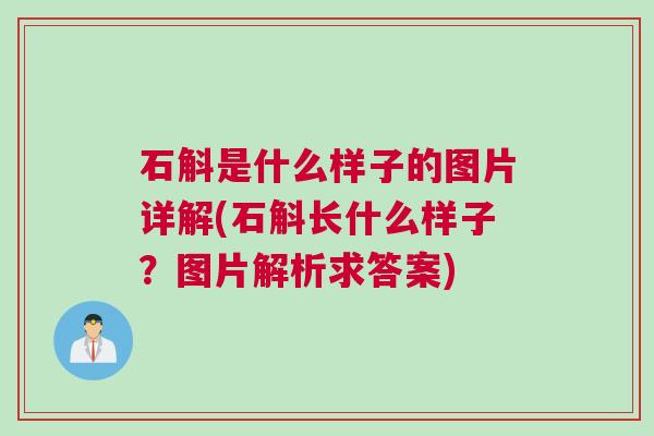 石斛是什么样子的图片详解(石斛长什么样子？图片解析求答案)