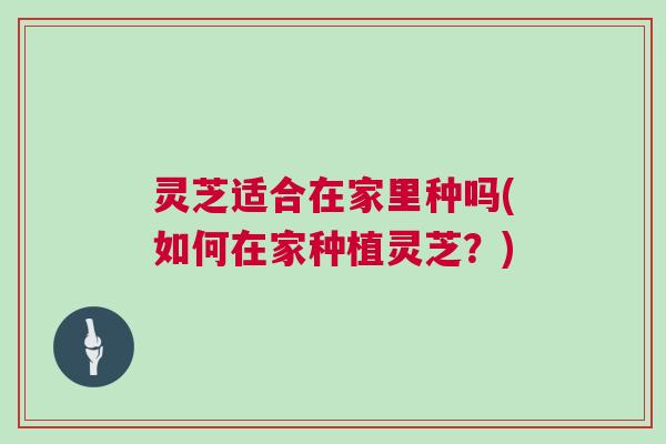 灵芝适合在家里种吗(如何在家种植灵芝？)