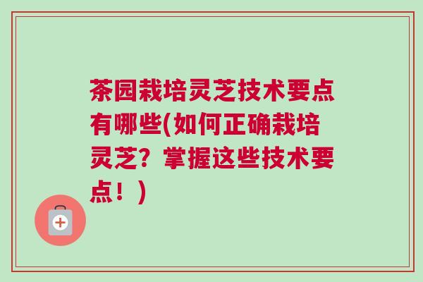 茶园栽培灵芝技术要点有哪些(如何正确栽培灵芝？掌握这些技术要点！)
