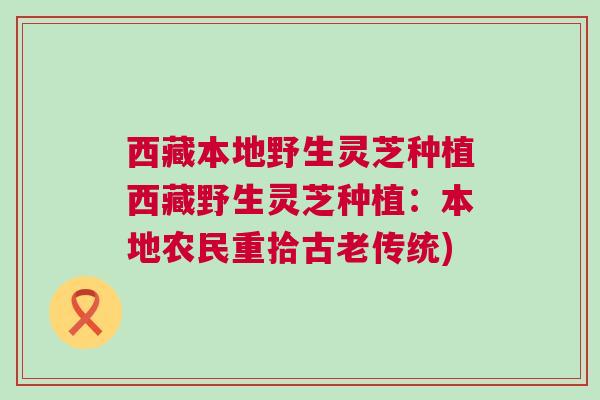 西藏本地野生灵芝种植西藏野生灵芝种植：本地农民重拾古老传统)