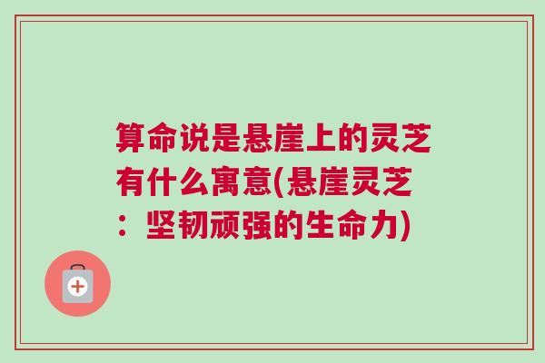 算命说是悬崖上的灵芝有什么寓意(悬崖灵芝：坚韧顽强的生命力)