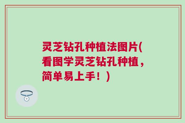 灵芝钻孔种植法图片(看图学灵芝钻孔种植，简单易上手！)