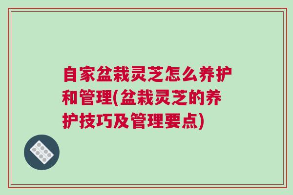自家盆栽灵芝怎么养护和管理(盆栽灵芝的养护技巧及管理要点)
