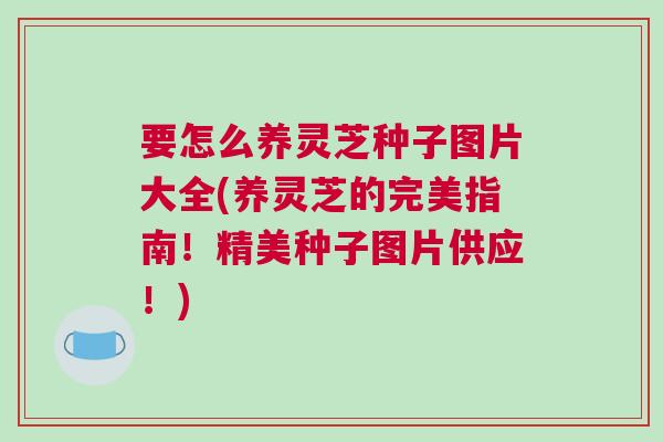 要怎么养灵芝种子图片大全(养灵芝的完美指南！精美种子图片供应！)