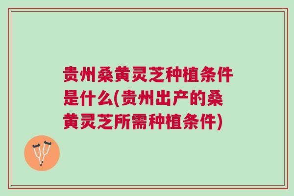 贵州桑黄灵芝种植条件是什么(贵州出产的桑黄灵芝所需种植条件) 贵州桑黄灵芝种植条件是什么(贵州出产的桑黄灵芝所需种植条件)