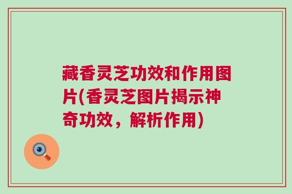 藏香灵芝功效和作用图片(香灵芝图片揭示神奇功效，解析作用)