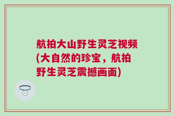 航拍大山野生灵芝视频(大自然的珍宝，航拍野生灵芝震撼画面)