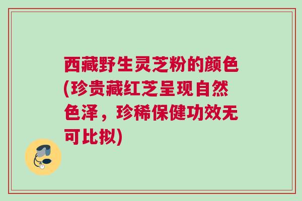西藏野生灵芝粉的颜色(珍贵藏红芝呈现自然色泽，珍稀保健功效无可比拟)