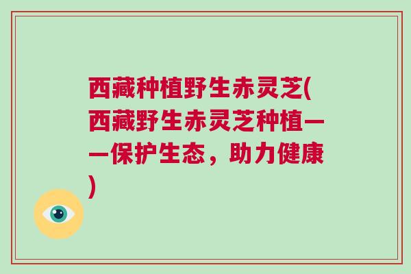 西藏种植野生赤灵芝(西藏野生赤灵芝种植——保护生态，助力健康)