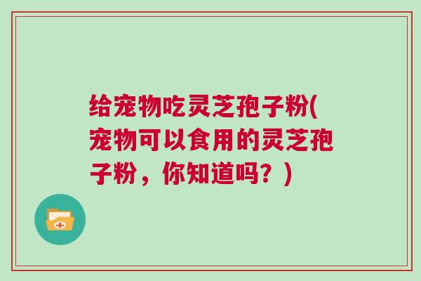 给宠物吃灵芝孢子粉(宠物可以食用的灵芝孢子粉，你知道吗？)
