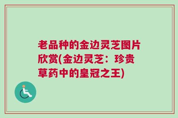 老品种的金边灵芝图片欣赏(金边灵芝：珍贵草药中的皇冠之王)