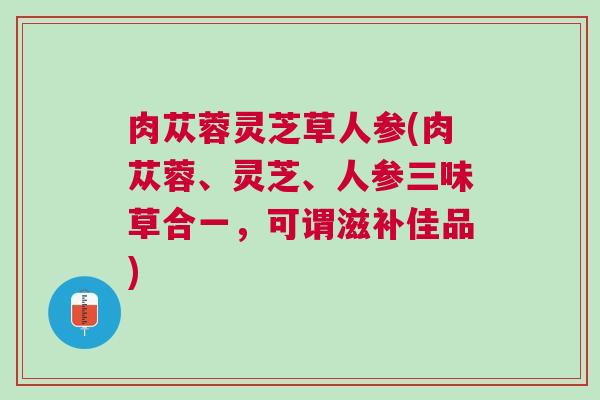 肉苁蓉灵芝草人参(肉苁蓉、灵芝、人参三味草合一,可谓滋补佳品) 肉苁蓉灵芝草人参(肉苁蓉、灵芝、人参三味草合一,可谓滋补佳品)