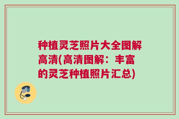 种植灵芝照片大全图解高清(高清图解:丰富的灵芝种植照片汇总) 种植灵芝照片大全图解高清(高清图解:丰富的灵芝种植照片汇总)