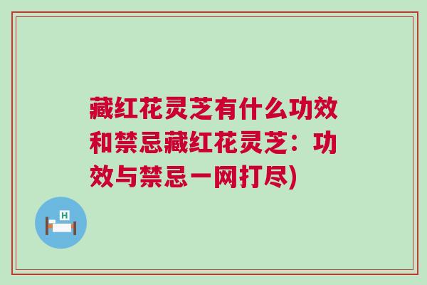 藏红花灵芝有什么功效和禁忌藏红花灵芝：功效与禁忌一网打尽)