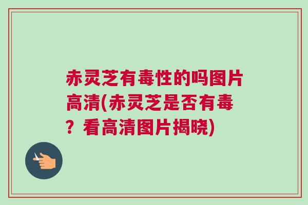 赤灵芝有毒性的吗图片高清(赤灵芝是否有毒?看高清图片揭晓) 赤灵芝有毒性的吗图片高清(赤灵芝是否有毒?看高清图片揭晓)