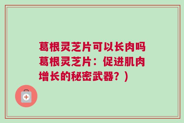 葛根灵芝片可以长肉吗葛根灵芝片：促进肌肉增长的秘密武器？)