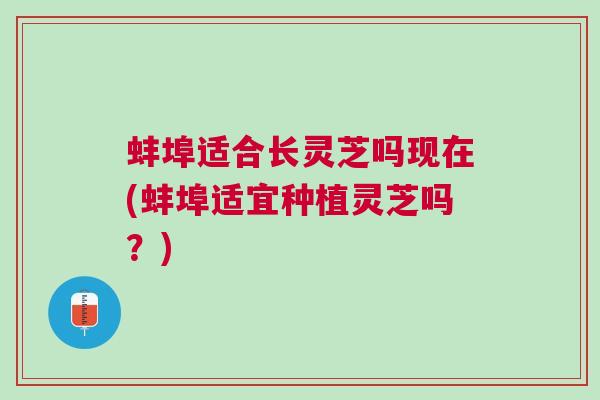 蚌埠适合长灵芝吗现在(蚌埠适宜种植灵芝吗？)