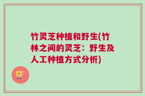 竹灵芝种植和野生(竹林之间的灵芝：野生及人工种植方式分析)