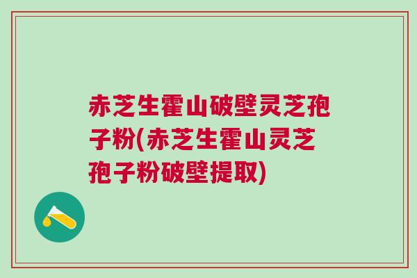 赤芝生霍山破壁灵芝孢子粉(赤芝生霍山灵芝孢子粉破壁提取)