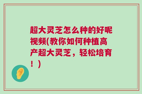 超大灵芝怎么种的好呢视频(教你如何种植高产超大灵芝,轻松培育!) 超大灵芝怎么种的好呢视频(教你如何种植高产超大灵芝,轻松培育!)