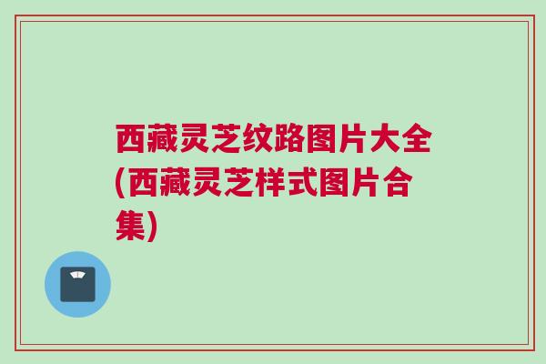 西藏灵芝纹路图片大全(西藏灵芝样式图片合集)