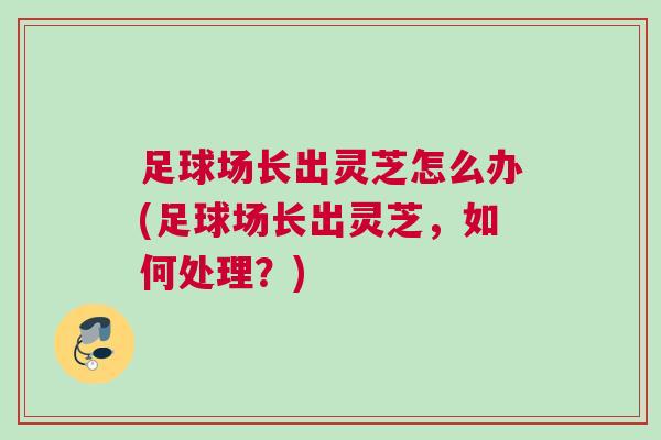 足球场长出灵芝怎么办(足球场长出灵芝，如何处理？)