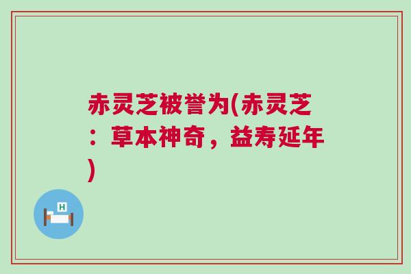 赤灵芝被誉为(赤灵芝：草本神奇，益寿延年)