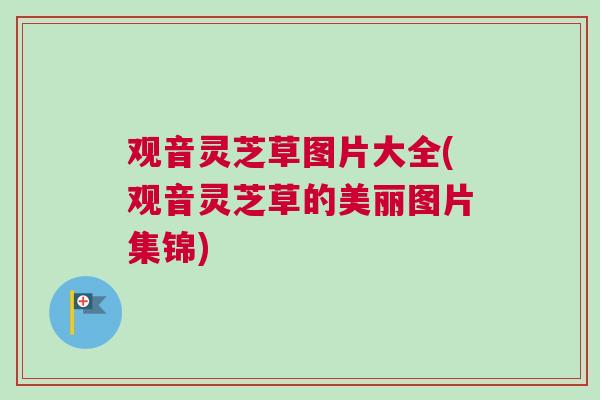 观音灵芝草图片大全(观音灵芝草的美丽图片集锦)